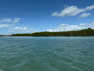 Tropical Mangrove Forests and Ocean Waters in the Florida Keys