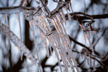 icicles on the roof