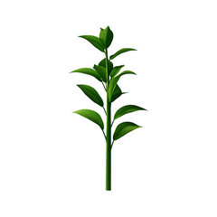 Obraz premium mint leaves 3D render