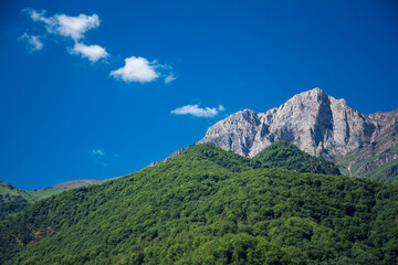 mountain landscape pine trees near valley and colorful forest on hillside under blue sky