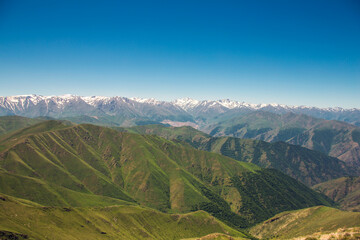 Fototapeta premium mountain landscape pine trees near valley and colorful forest on hillside under blue sky