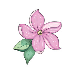 Realistic vector flowers petals buds bouquets. Anemones, peonies pansies magnolia