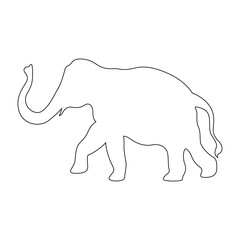 elephant isolated on white