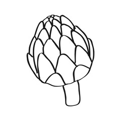 vector illustration of a human brain