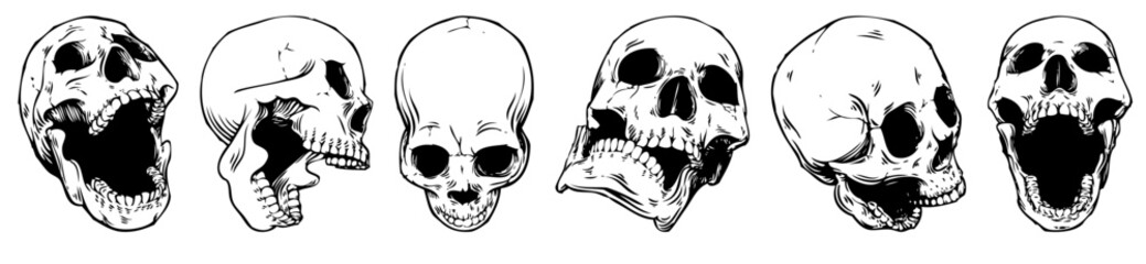 Skeletal Spectrum: A series of detailed illustrations showcasing a variety of human skulls, rendered in a stark black-and-white aesthetic, each presenting a different angle and expression.