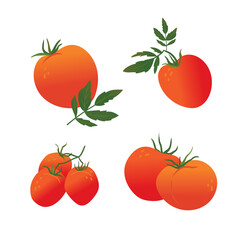 set of red tomatoes of different sizes. delicious healthy food. ripe vegetables for cooking.
