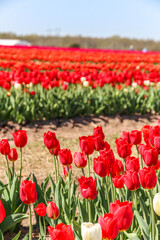 Burnside Farms Nokesville, VA