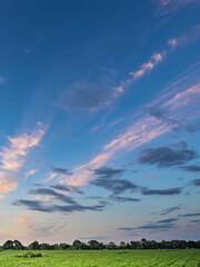 Beautiful blue sky with a few clouds and a few trees in the background