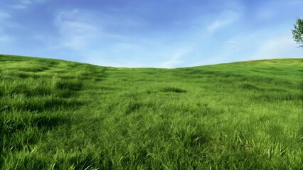 Fototapeta premium Architectural landscape concept green grass f