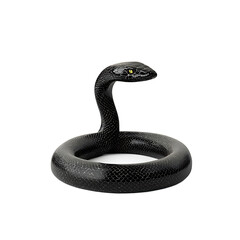 Fototapeta premium C 3D render 