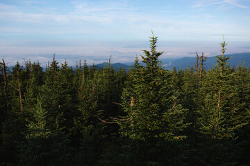 Hazy views of the mountain landscape, in the Smoky Mountains of America.