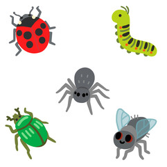 Set of insects isolated on white background 