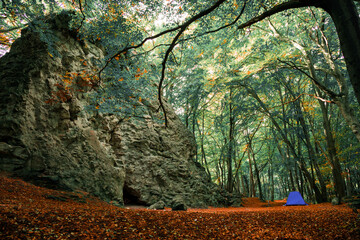 tent in forest landscape atmospheric nature environment space with rocks in wood land life style