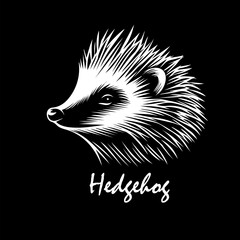 hedgehog on a black background. hand drawing. Not AI, Vector illustration.