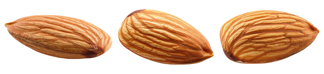 almond nuts isolated on transparent background