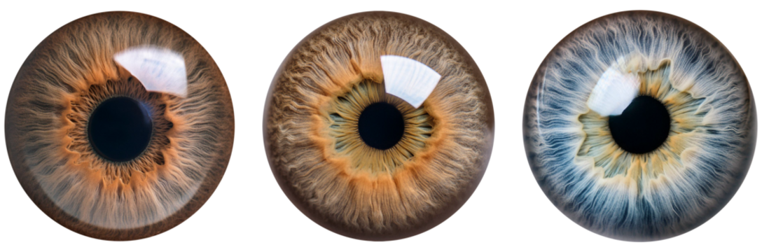 Set of eyes on transparent background