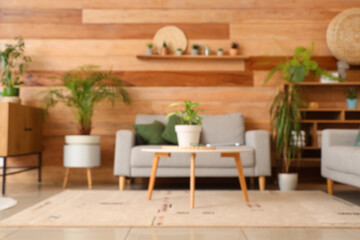 Blurred view of living room with green plants, sofa and table