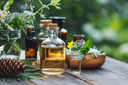 Bottles of tincture or potion, organic essential oils, dry healthy herbs, floral extracts on wooden table. Pure natural ingredients for cosmetic production. Concept of alternative herbal medicine