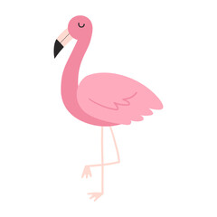 pink flamingo vector illustration