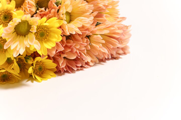 白バックの菊の花束