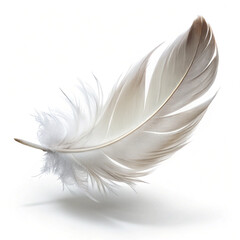 Obraz premium Floating feather symbolizing lightness and freedom