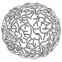 blood vessel organoids line icon