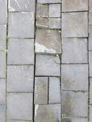 Explore the Beauty of Aged Stone Paths Amidst Nature in a Serene Urban Setting