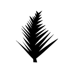 black silhouettes of tropical leaves
