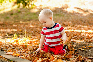 One-year-old baby playing with natural materials leaves and twigs in a warm autumn forest