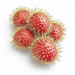 Exotic Spiky Fruit Close-Up: Discover the Unique Botanical Specimen and Tropical Produce with Vibrant Colors and Textured Exterior. White background with clipping path 