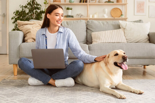 Domestic Animal. Portrait of happy golden labrador retriever lying on the floor, young woman patting her dog, using laptop computer. Lady watching video online on device at home in living room