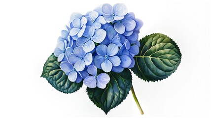 Hand-painted watercolor bouquet of pastel hydrangeas.