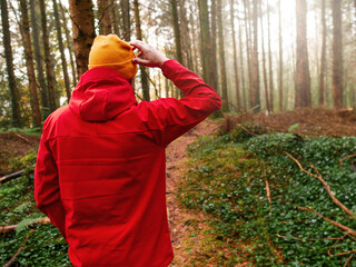 A man in a red jacket is walking through a forest. Male tourist is wearing a yellow hat. The forest...