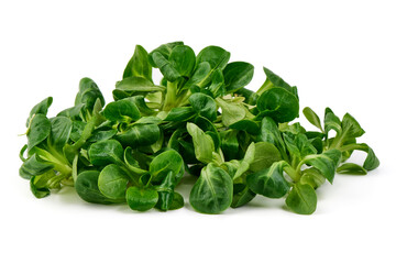 Fresh Lamb's Lettuce Isolated on White Background.