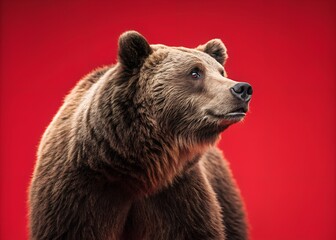 Obraz premium Powerful bear with a fierce expression, captured in a natural setting, showcasing its strength and beauty.