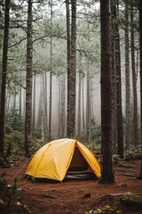 Tent in campsite outdoors with beautiful nature settings.