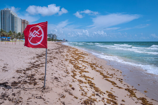 Red Flag for Warning of unsafe sea for swimming in Fort Lauderdale Beach. Florida, USA, 2020 - Powered by Adobe