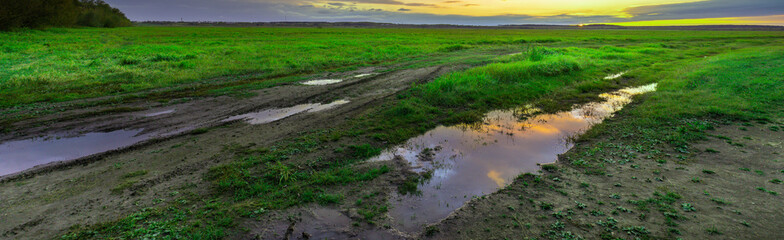 Field with puddles of water and grass