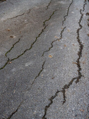 Fototapeta premium Strassenschäden