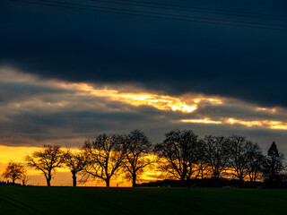 Bäume bei Sonnenuntergang im Winter