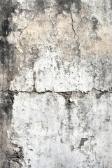 Damaged concrete wall with patches of green moss and peeling paint.