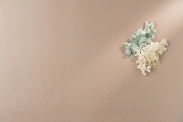 Flowers on beige background. Flat lay, top view. Copy space