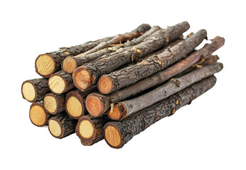 Gathering firewood for winter forest natural environment view sustainability concept isolated on transparent background