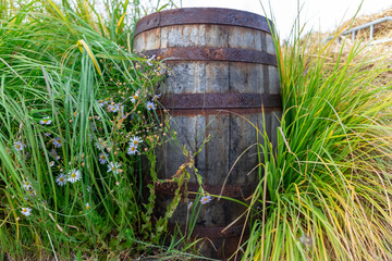 Rustic Wooden Barrel Surrounded by Lush Grass and Colorful Flowers Under Bright Sunlight in a Field