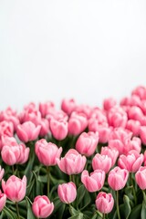 Obraz premium Beautiful background template made of Spring flowers.