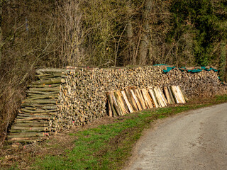 Brennholz lagert auf einer Wiese © focus finder