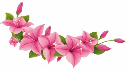 Fototapeta premium Vibrant bougainvillea creeper border enhances designs with natures charm and bold colors, perfect for creative projects.