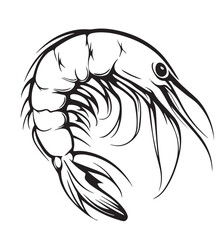 Shrimp A Detailed Marine Crustacean Illustration







