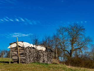 Brennholz lagert auf einer Wiese © focus finder