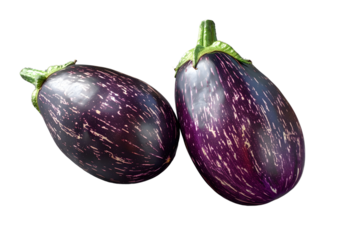 Pair of Vibrant Purple Eggplants on White Background